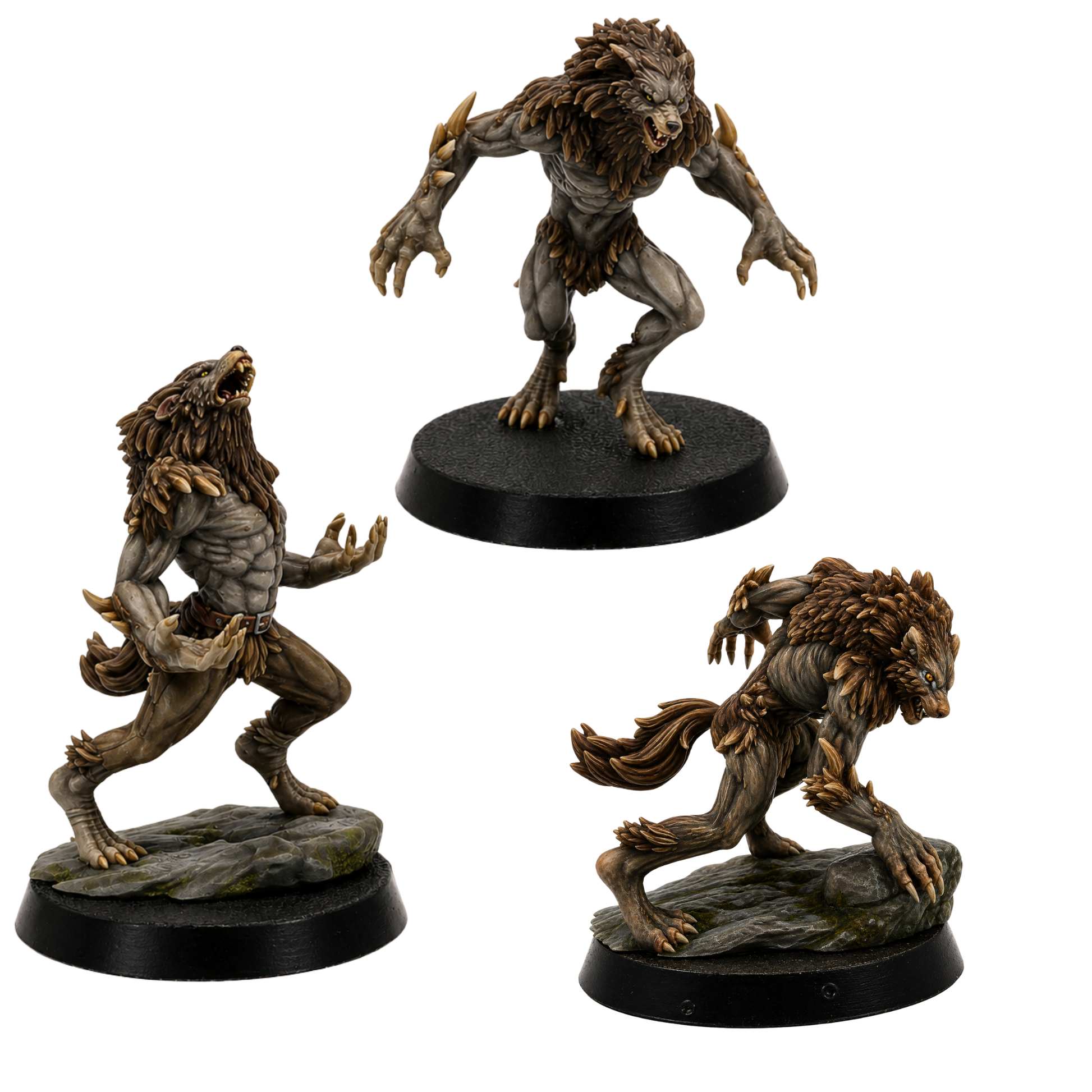 Painted Werewolf Brutes set of 3 by Epic Miniatures showing muscular fantasy lycanthropes with thick fur, claws, snarling wolf heads, and dynamic poses.