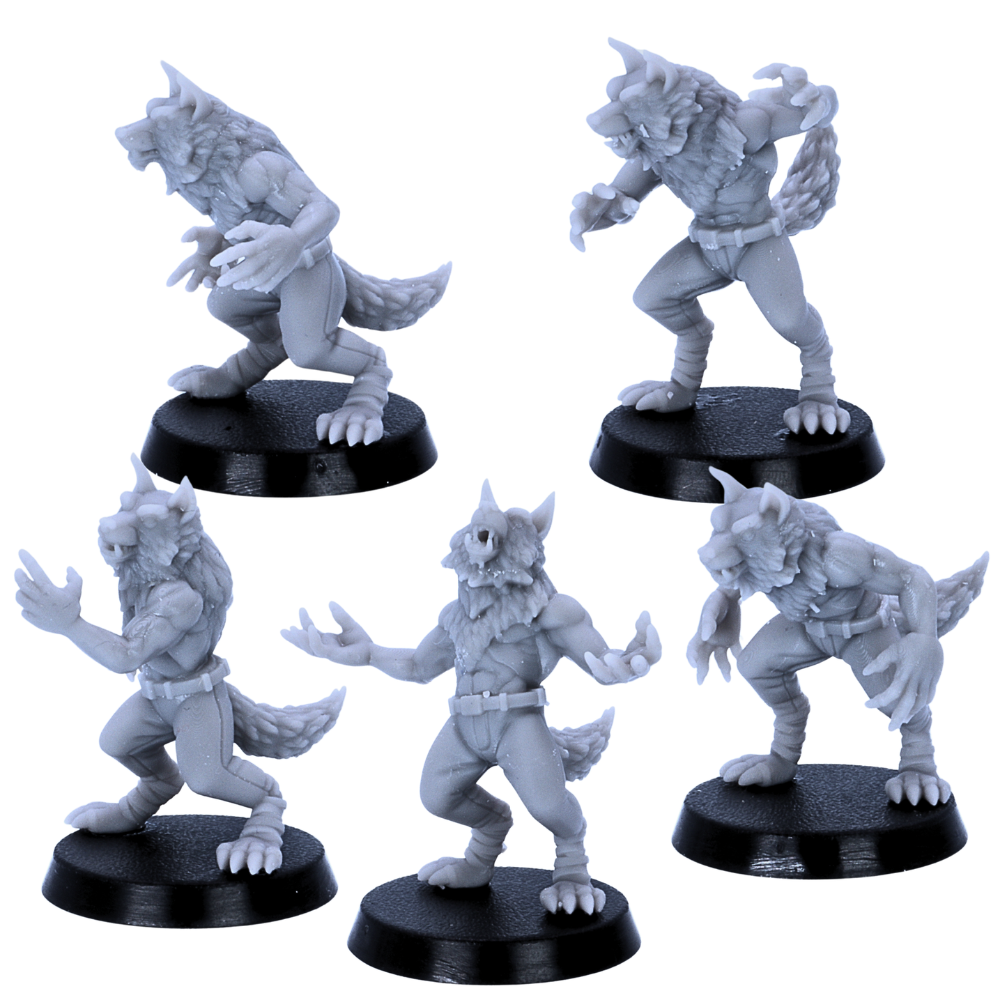 Alt Text: Five resin werewolf miniatures posed as fantasy RPG enemies and lycanthrope warriors.