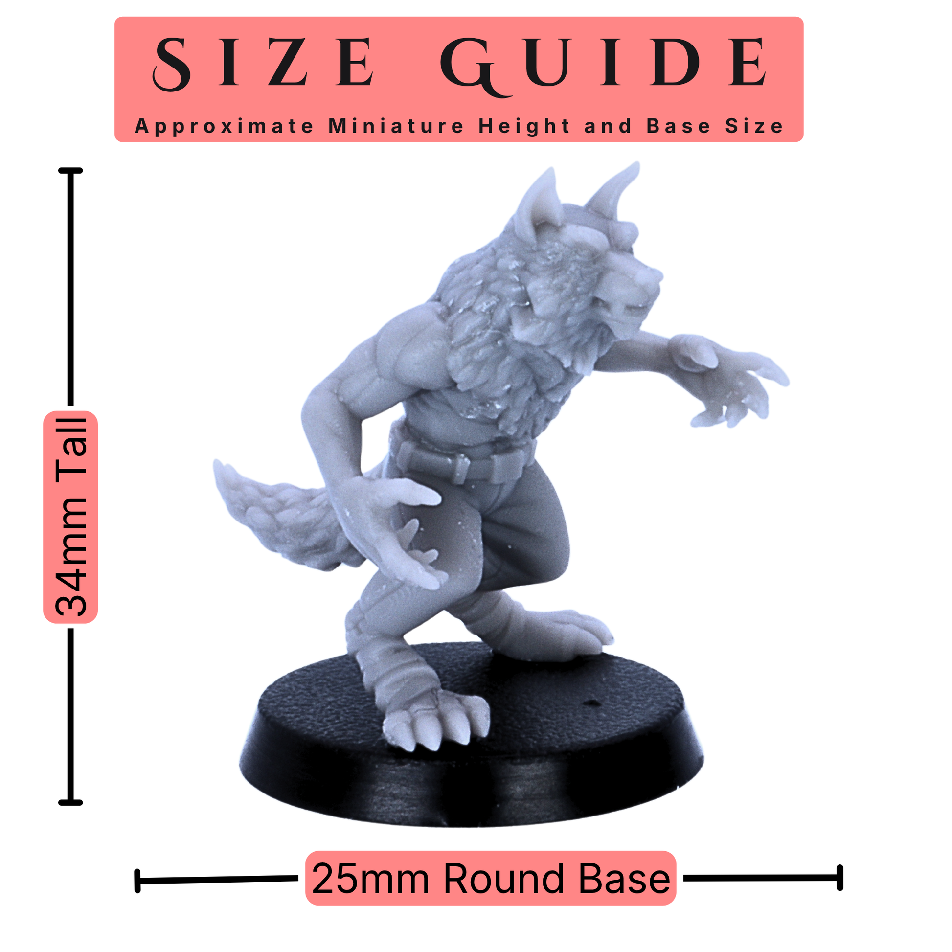 Alt Text: Werewolf Soldier miniature size guide showing approximately 34mm height and 25mm round base.