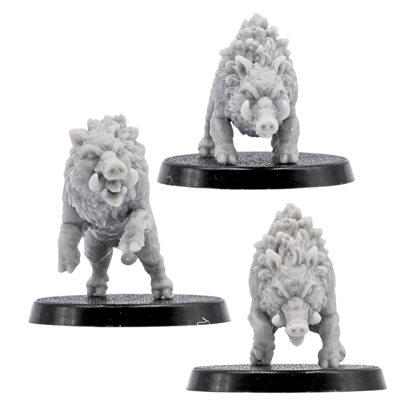 Front views of unpainted Wild Boar resin miniatures showing tusks, fur texture, snarling faces, and 40mm round bases.
