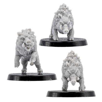Front views of unpainted Wild Boar resin miniatures showing tusks, fur texture, snarling faces, and 40mm round bases.