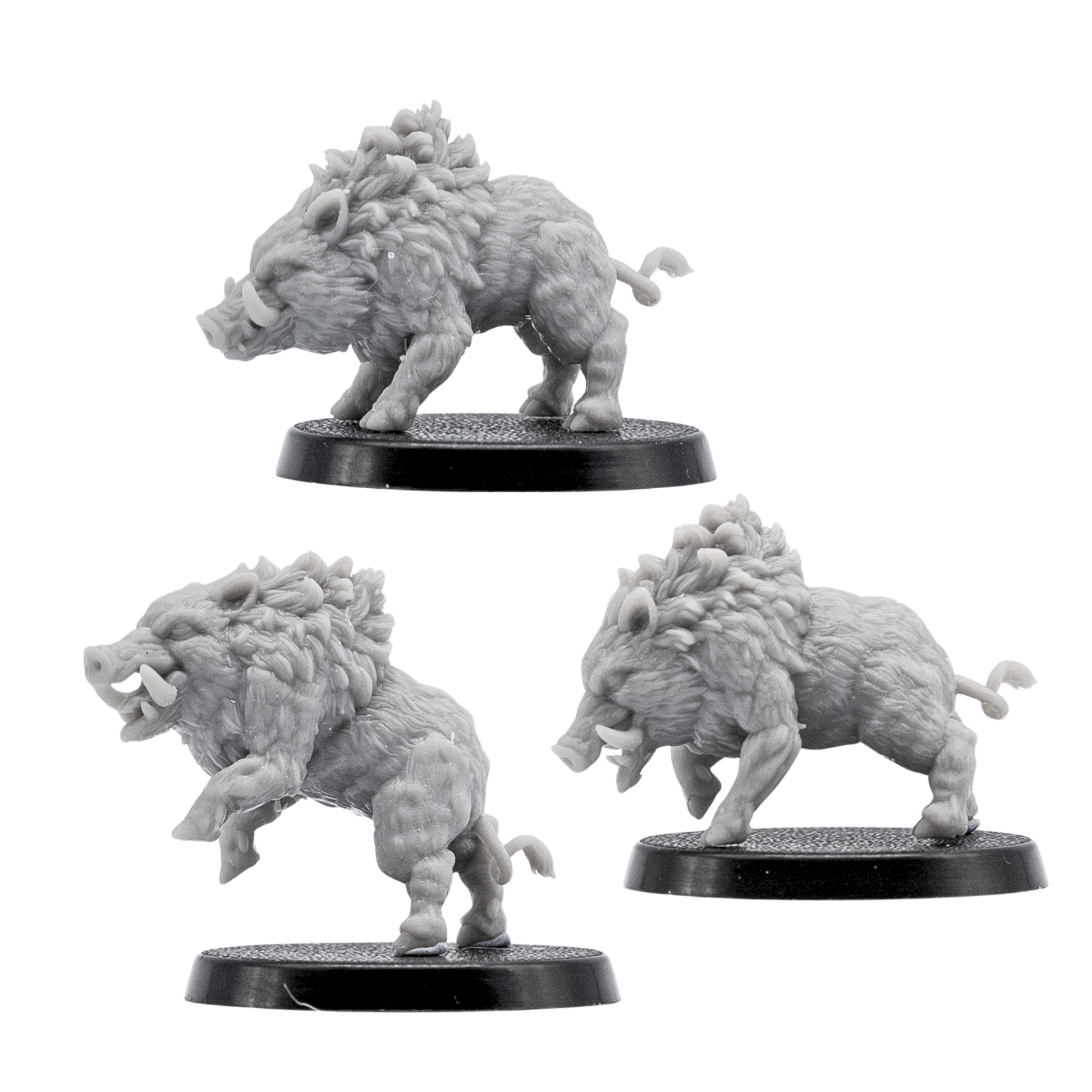 Side views of three unpainted Wild Boar fantasy miniatures with charging poses, tusks, textured fur, and 40mm round bases.