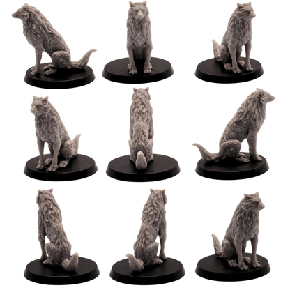 Unpainted seated wolf miniature shown from multiple angles with thick layered fur, alert ears, and bushy tail.