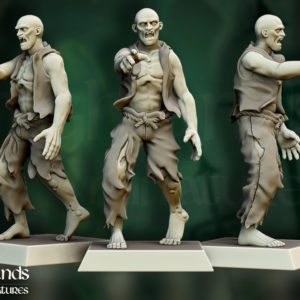 Zombie Villagers Miniature Models