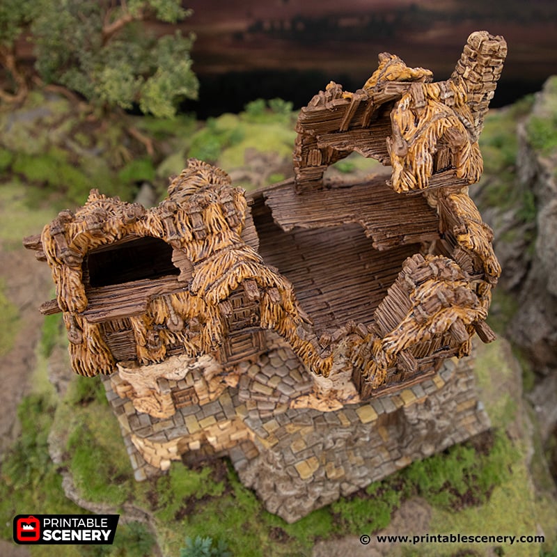 Ruined-Longhouse-4 top view