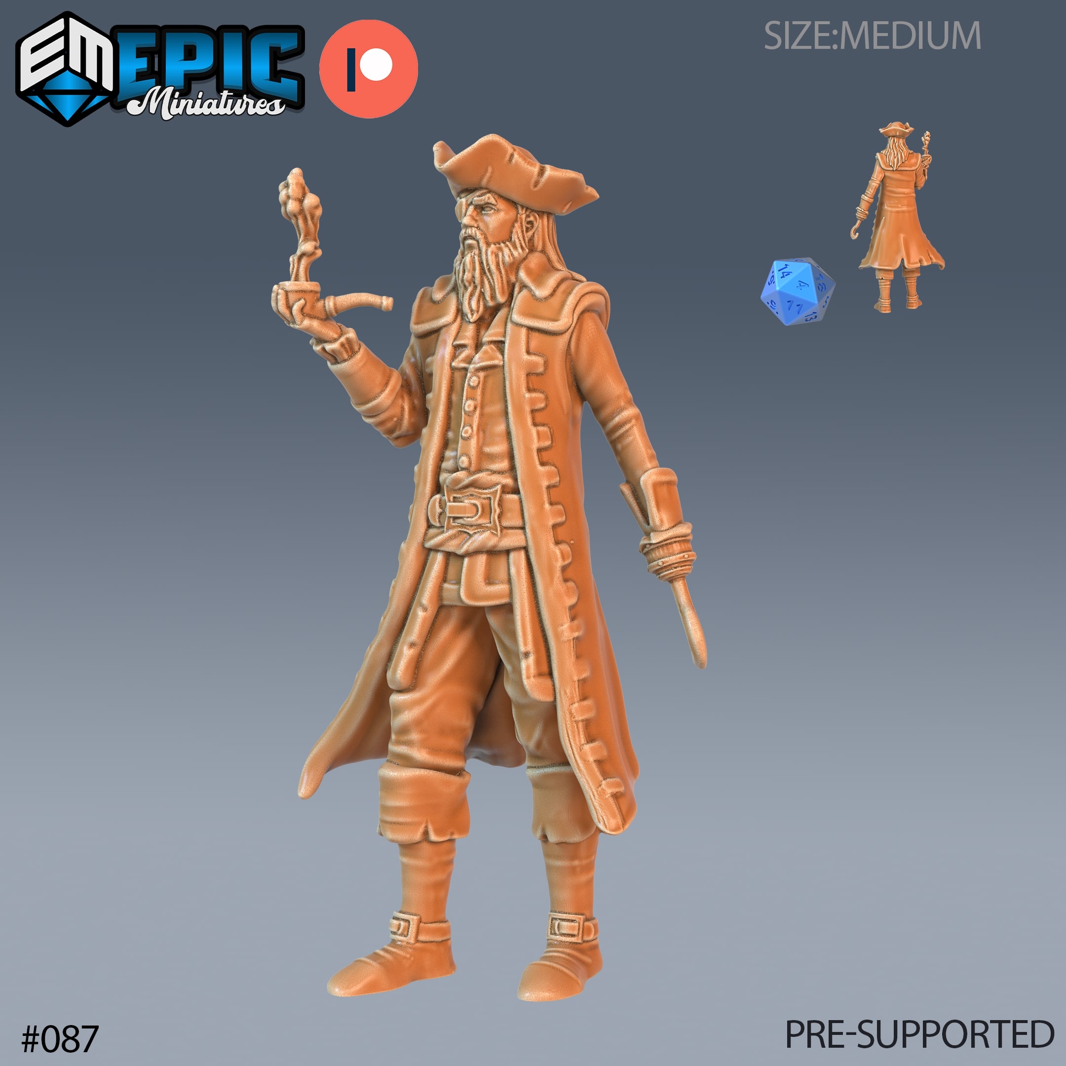 Pirate Captain Miniature Models
